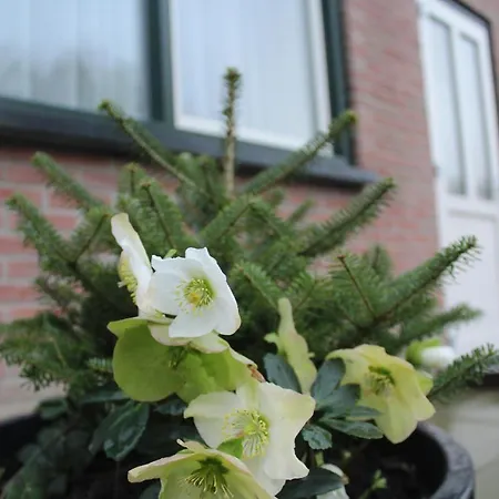 Apartman Landzicht Woubrugge