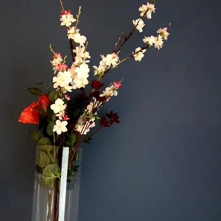 Landzicht Apartman Woubrugge