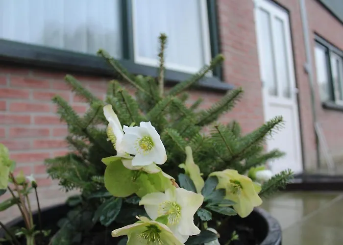 דירה Landzicht Woubrugge