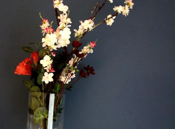 Landzicht Апартаменты Woubrugge